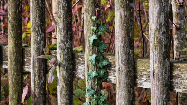 Tipps und Ideen zur einfachen und cleveren Gartengestaltung am Ferienhaus